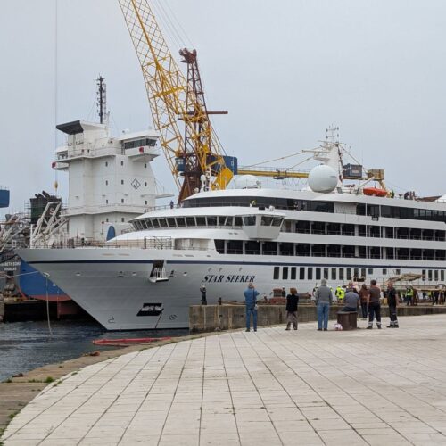 Star Seeker- Viana do Castelo